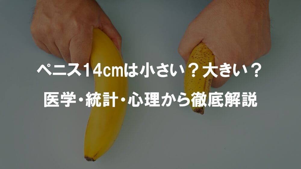 penis-14cm-average-big-or-small